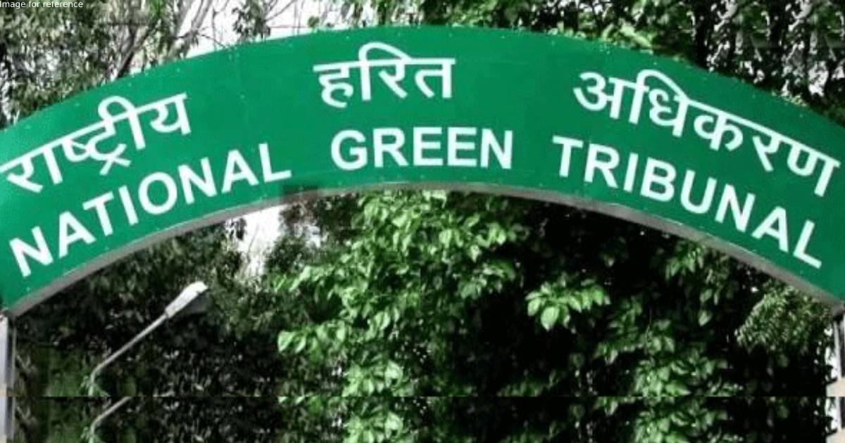 NGT constitutes panel to check illegal manufacturing of acid in Old Delhi